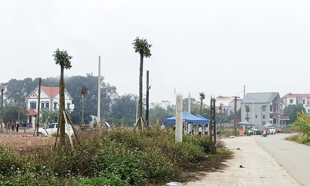  Chuyển mục đích sử dụng đất, giao đất (đợt 1) thực hiện dự án khu dân cư ở huyện Hiệp Hòa